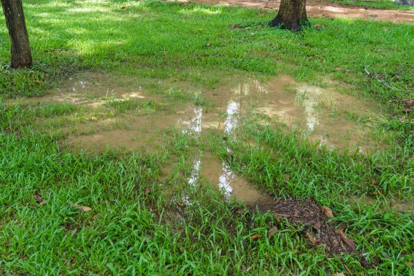 Storm Water Drainage Service in Nashville