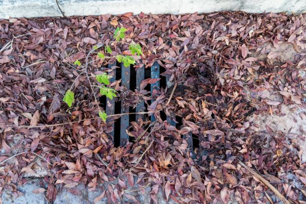 Yard Drain Unclogging in Nashville