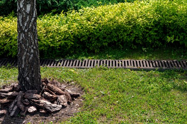 Wet Yard Drainage in Nashville