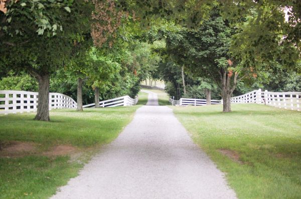 Driveway Graveling Service in Nashville