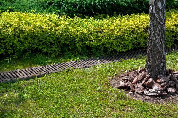 Residential Landscape Drainage in Nashville